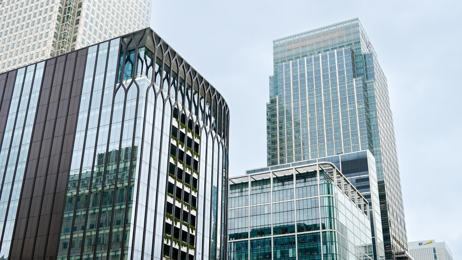Company Limited by Guarantee in Hong Kong